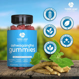 Gomitas de Ashwagandha - Suplemento para Enfoque y Energía - 60 u.