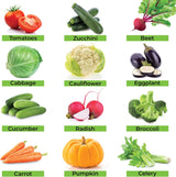 Semillas de Vegetales Herencia - 1000 Semillas No-GMO Survival