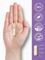 Saccharomyces Boulardii Probióticos &Prebióticos 10B CFUs