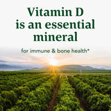Suplemento Enzimas digestivas bromelina para salud intestina