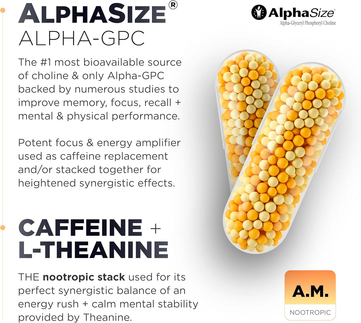 Suplementos  AMPM Nootropic Stack: Focus + Calm, Memory