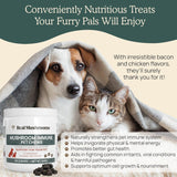 Masticables Inmunológicos con Hongos para Mascotas