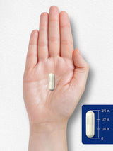 Suplemento 5HTP 100mg | Carlyle | No GMO, Sin Gluten | 240 Cápsulas