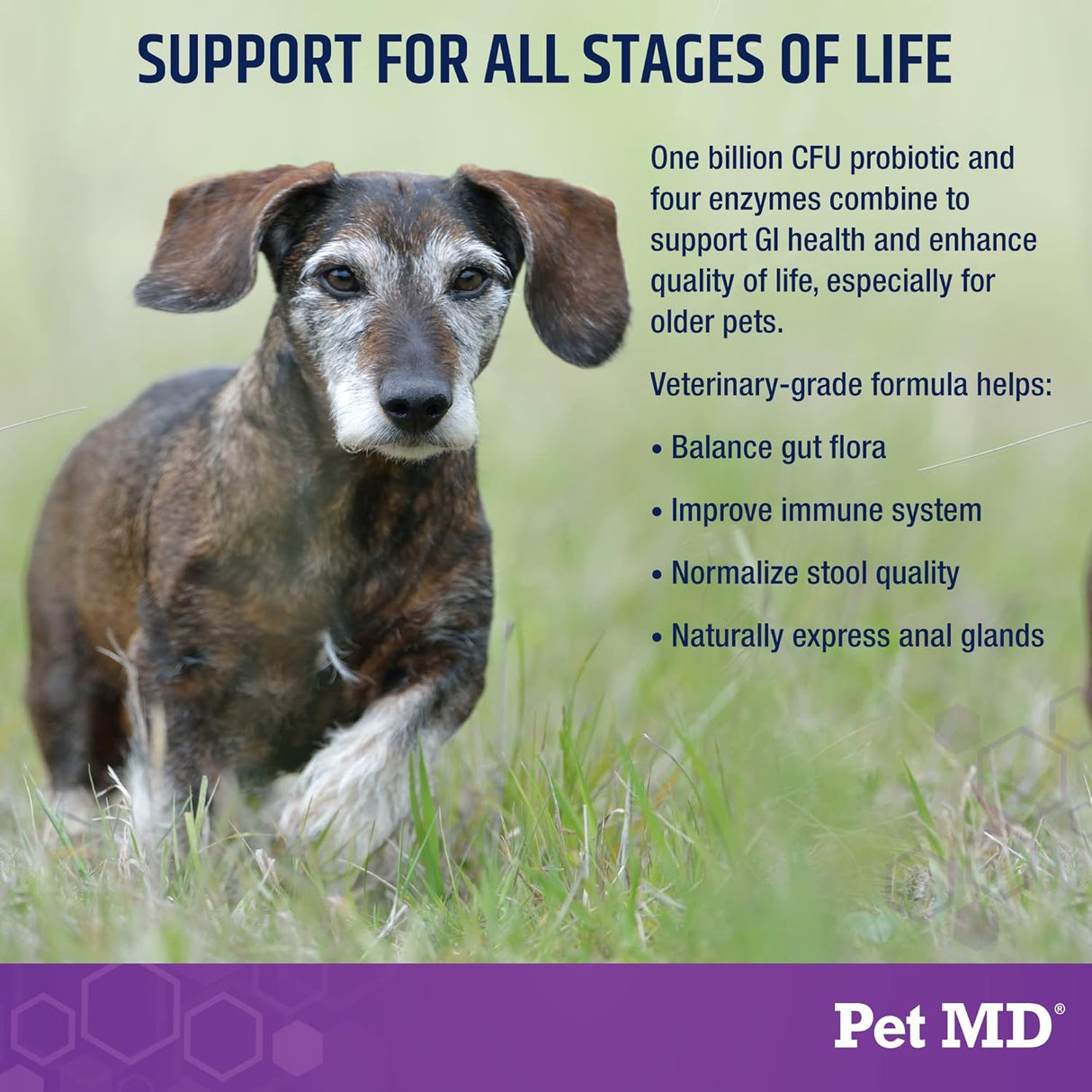 Probioticos y Enzimas para Perros - Pet MD - 60 Chews Digestivos