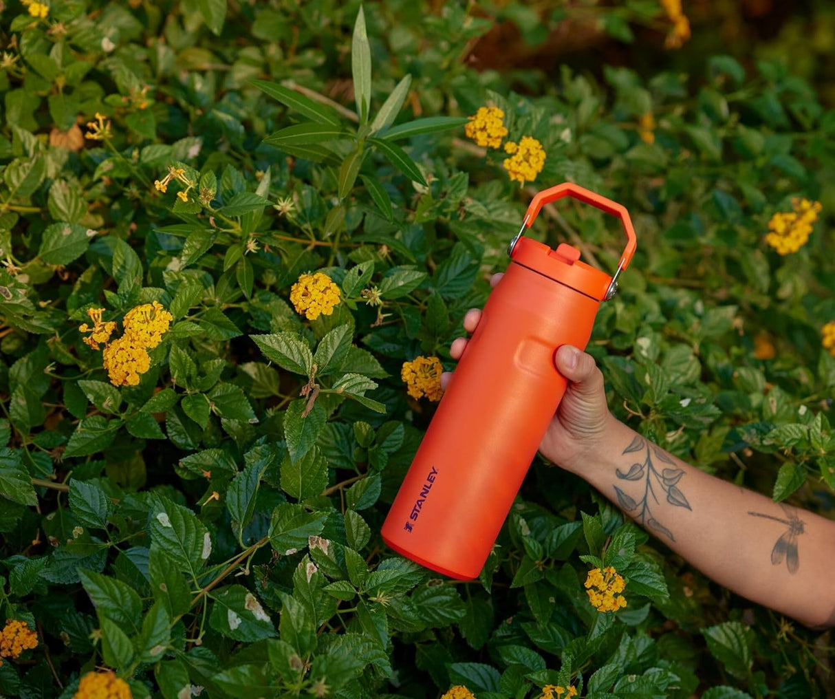 Botella de agua con pajilla abatible 2.0, acero inoxidable aislado sin BPA