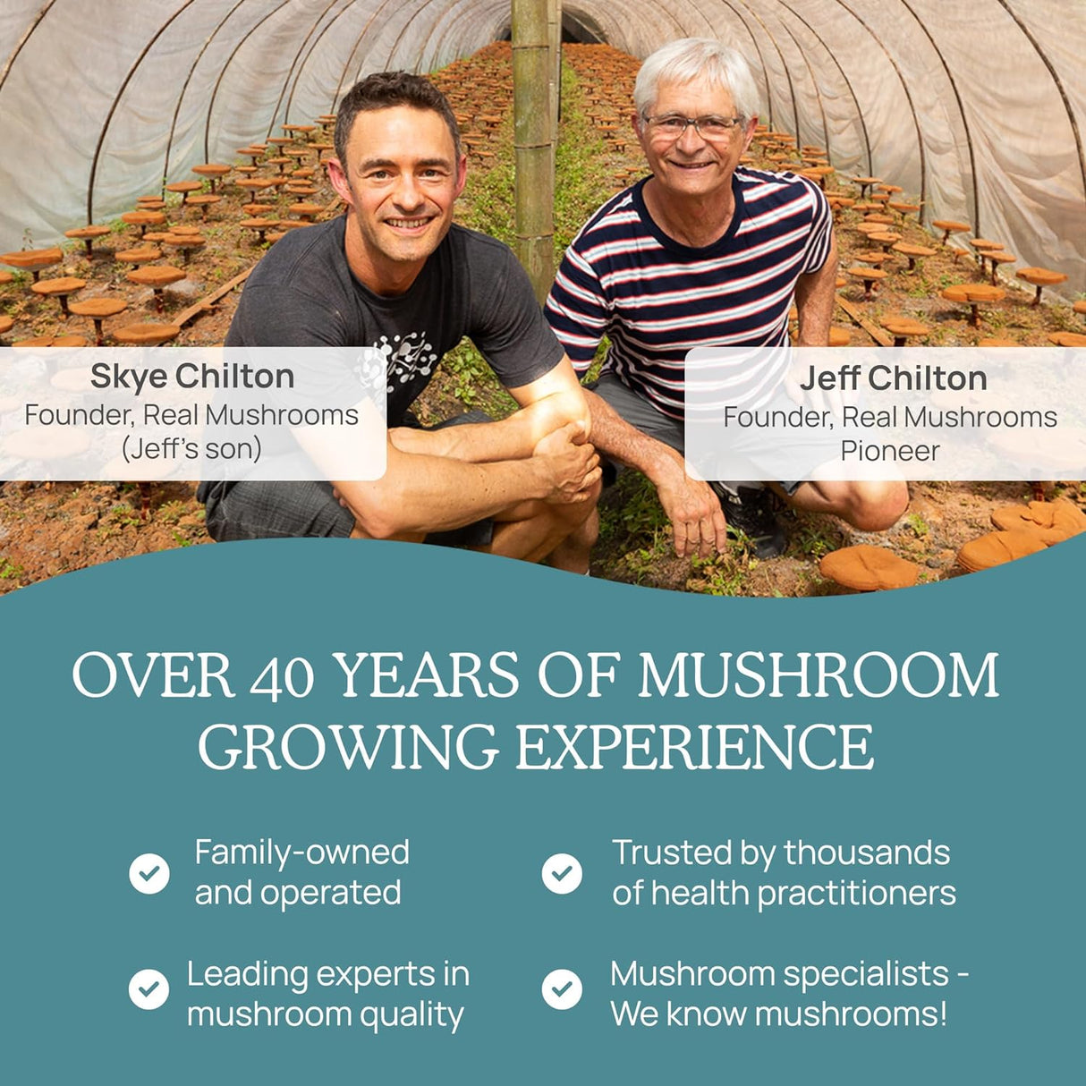 Suplemento Vegano de Vitamina D 1000 UI con Hongos Shiitake y Agaricus