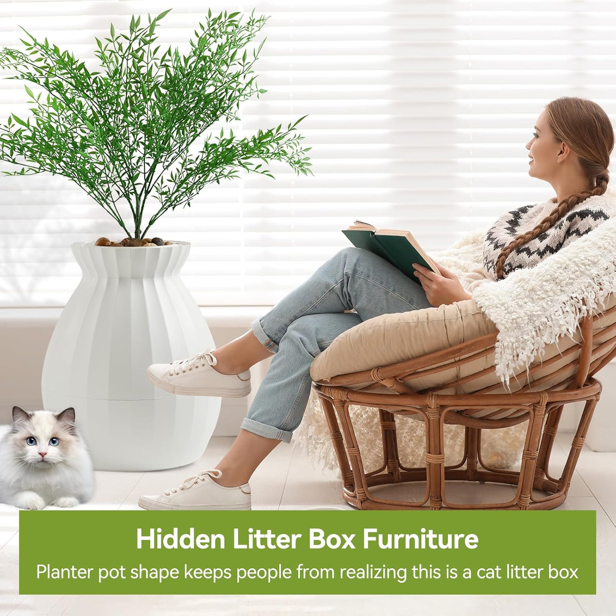 Caja de arena para plantas mejorada Petterm