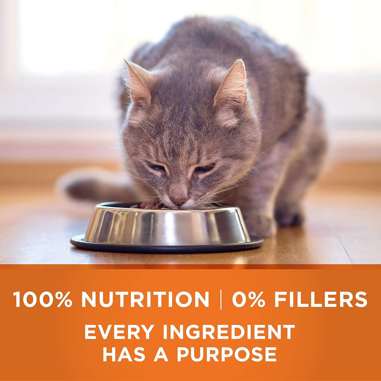 Purina ONE Alimento seco para gatos con alto contenido en proteínas, peso ideal con pavo y peso ideal con pavo - Bolsa de 3.5 libras
