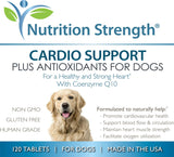 Vitaminas Antioxidante L-carnitina y vitamina E