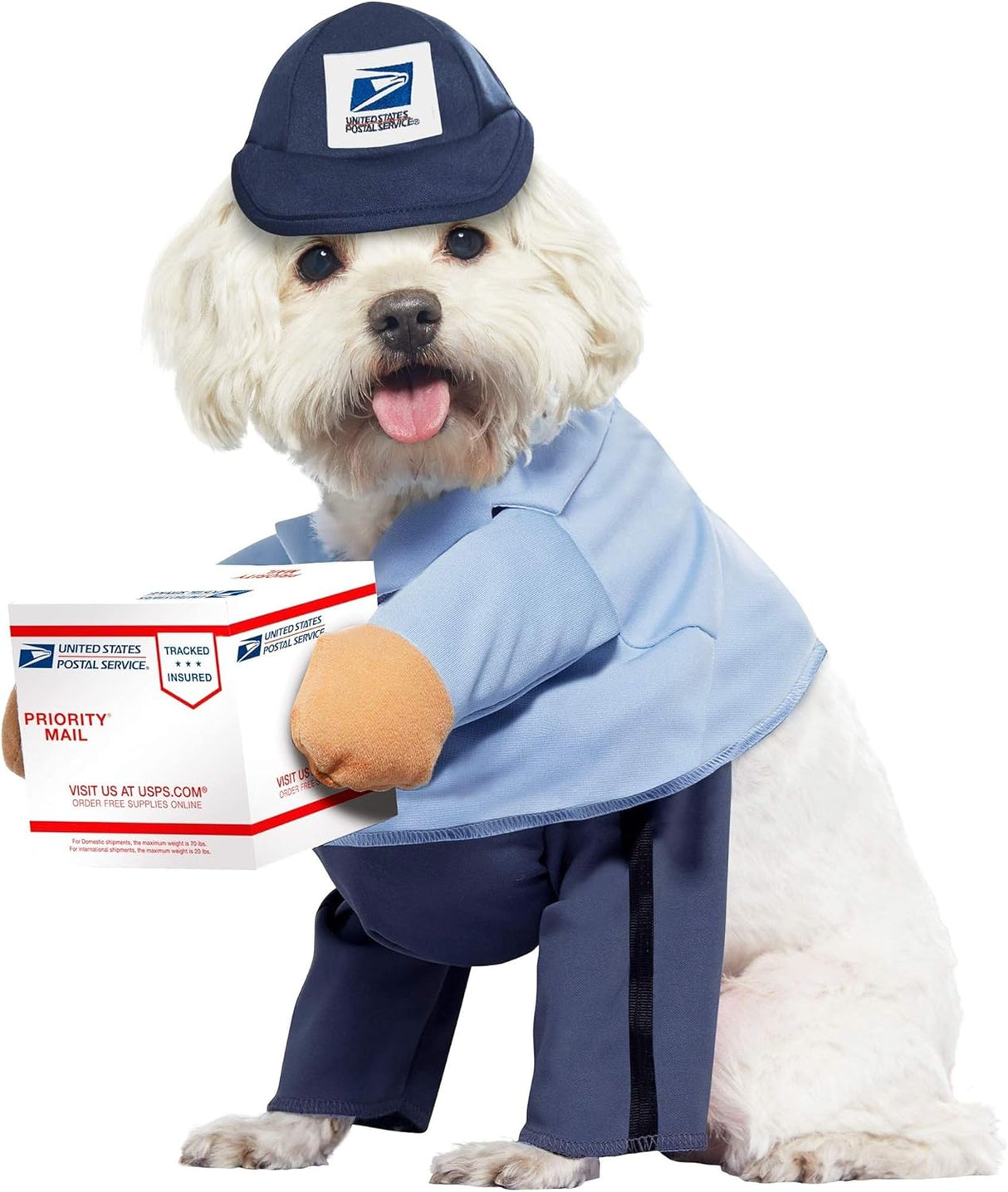 Disfraces de portador de correo para perros talla S