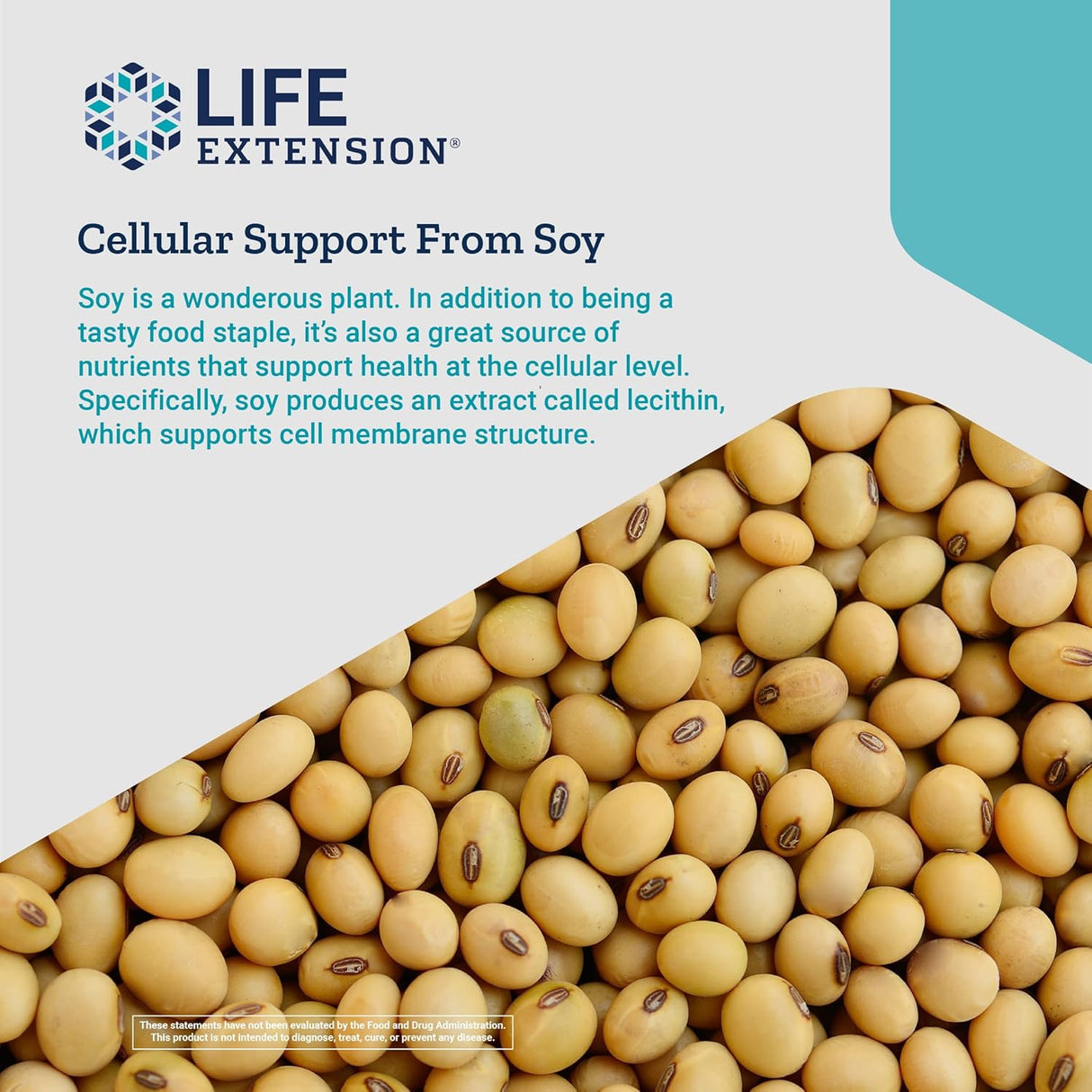Suplementos Alimenticios  de lecitina vegana a base de soja