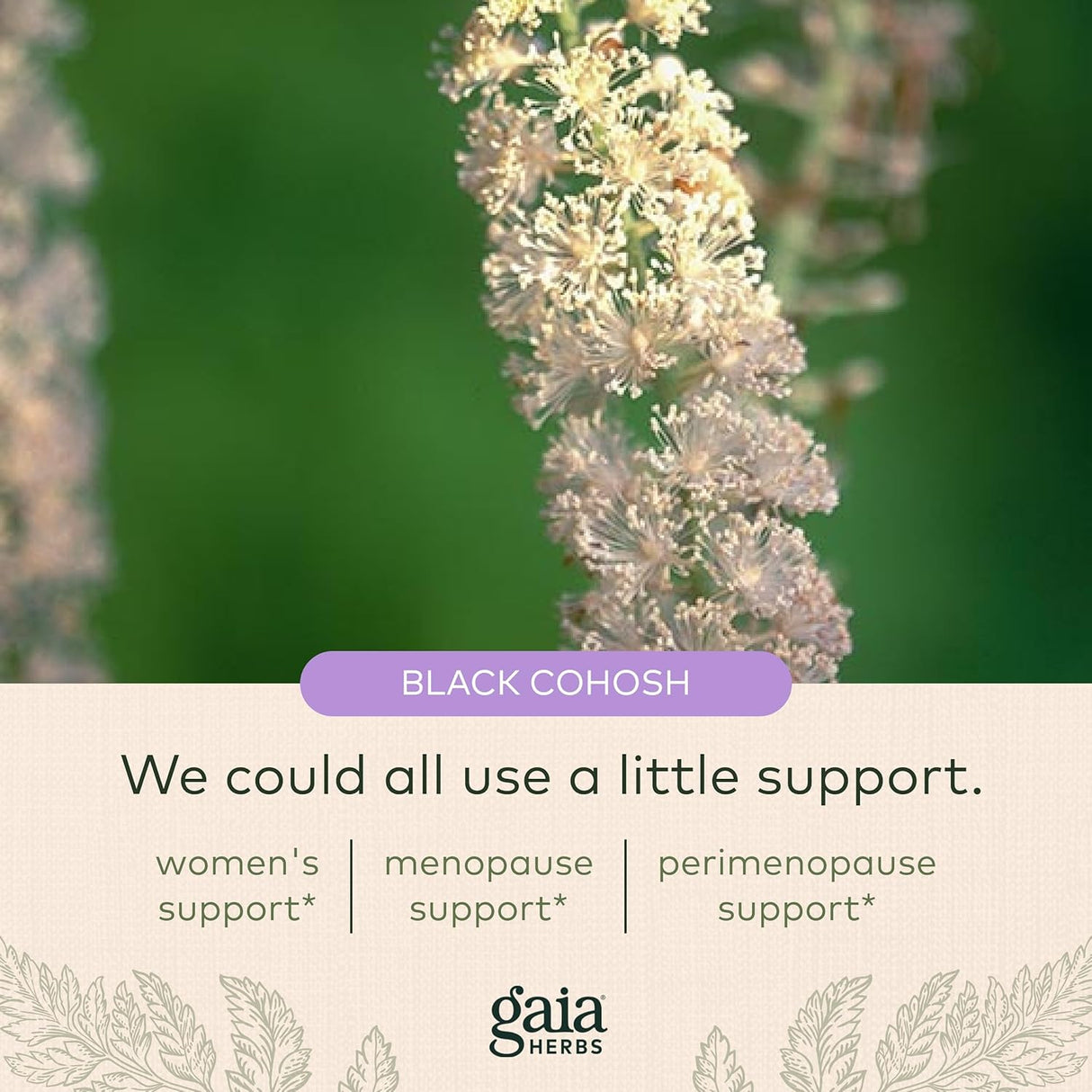 Ayuda a mantener el equilibrio hormonal saludable Gaia Herbs