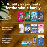 Blue Buffalo Comida para gatos, receta natural de pollo, Wilderness alta en proteínas, alimento seco para gatos adultos, bolsa de 12 libras