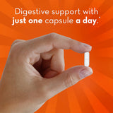 Suplemento Align Probióticos probióticos  salud digestiva