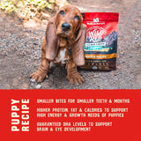 Alimento para perros Receta sin granos y sin legumbre