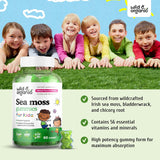 Suplemento Gomitas de musgo marino para niños 60 unidades