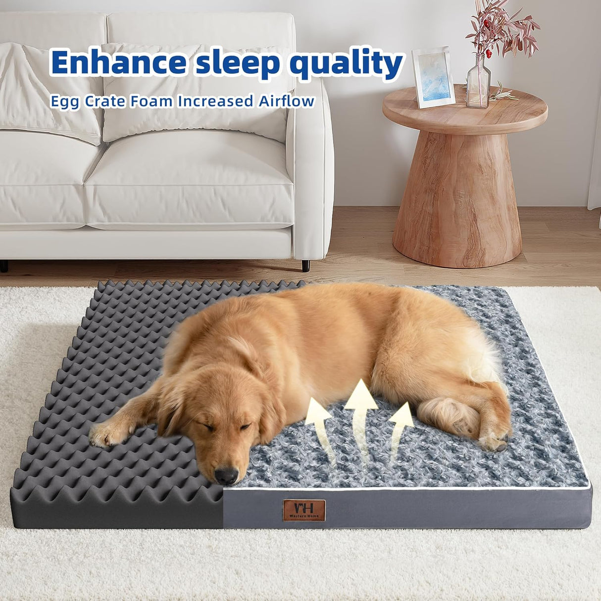 Cama Ortopédica para Perros Grandes WESTERN HOME, Espuma, Impermeable