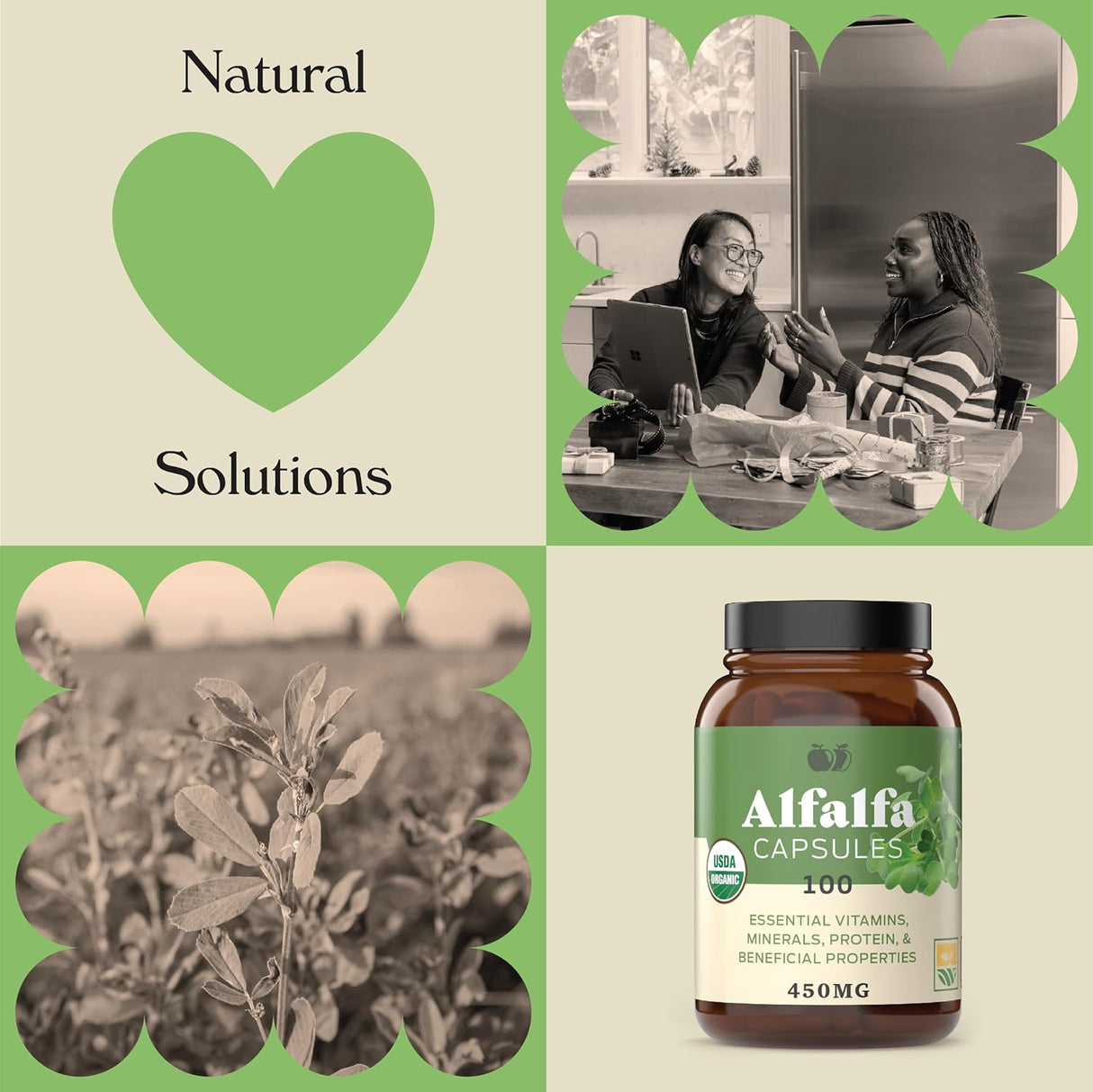 Suplemento Hoja de alfalfa pura (Medicago Sativa)  100 cáp