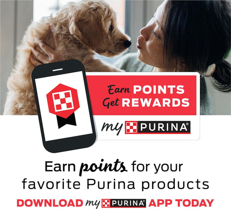 Purina Cat Chow Alimento seco para gatos de interior, bola de pelo + peso saludable (paquete de 4) bolsas de 3.15 libras