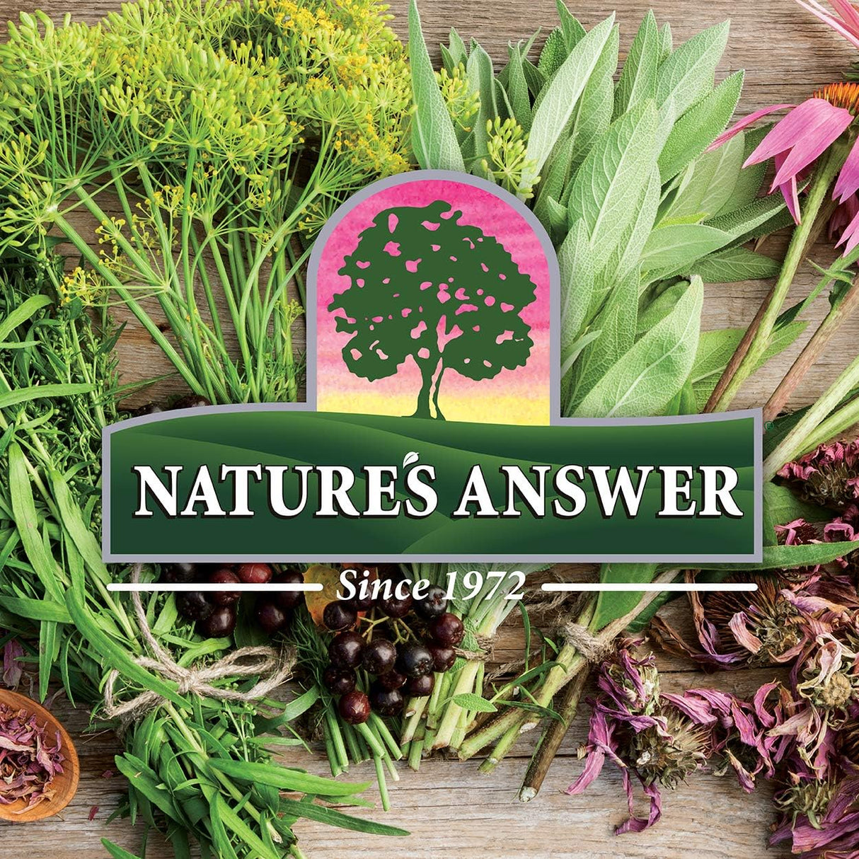 Suplemento en cápsulas de raíz de regaliz, Nature's Answer, 90 ct.