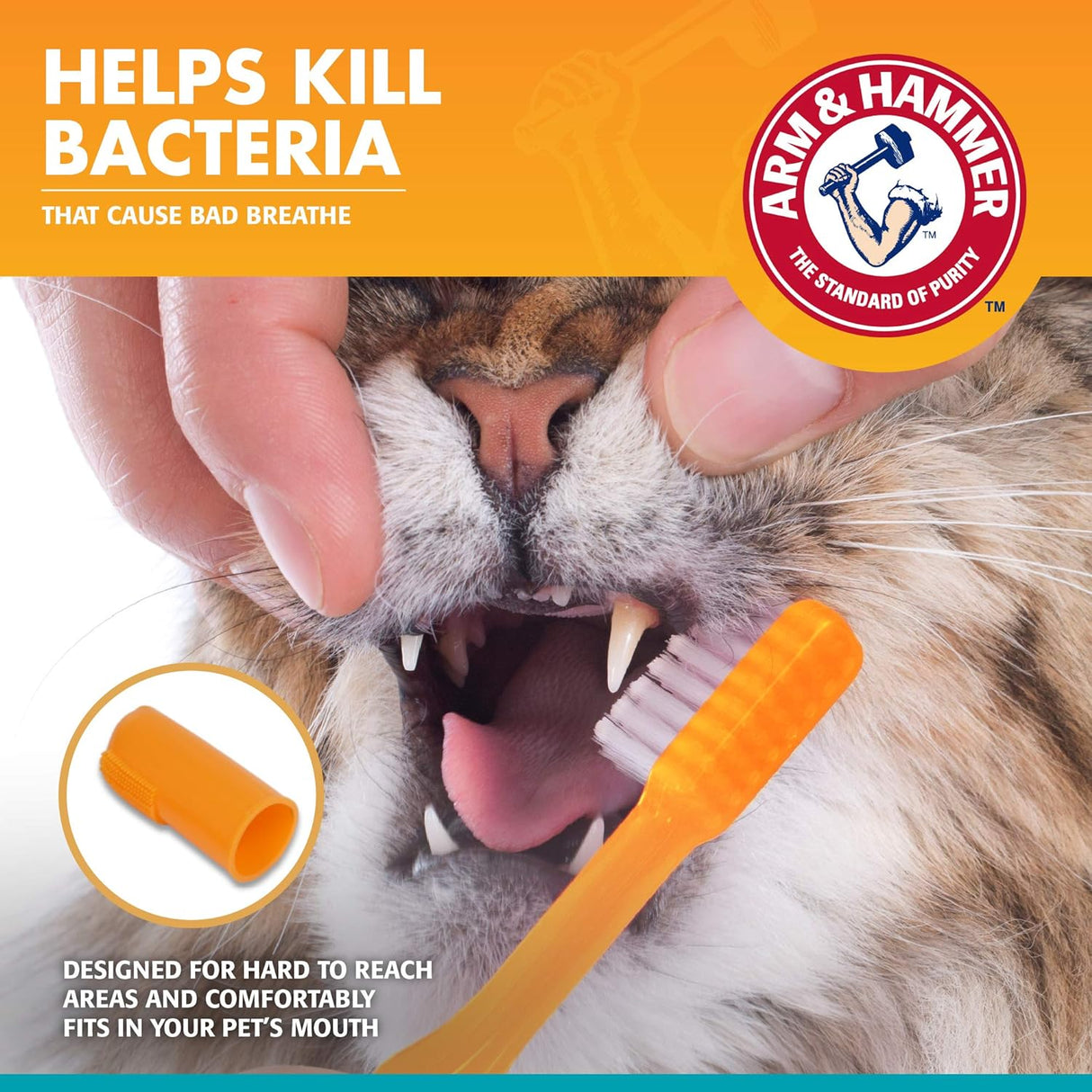 Kit dental para mascotas para gatos Elimina el mal aliento