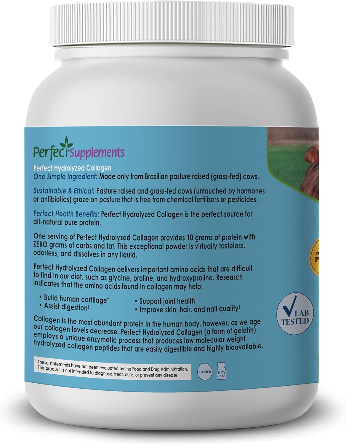 Suplemento de Colágeno Hidrolizado Sin Sabor – Perfect, 660 g