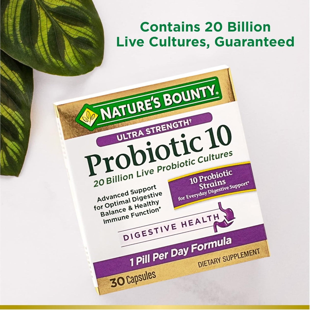 Suplementos Alimenticios apoyo para la salud digestiva