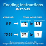 Alimento Para Gato disecadade marisco