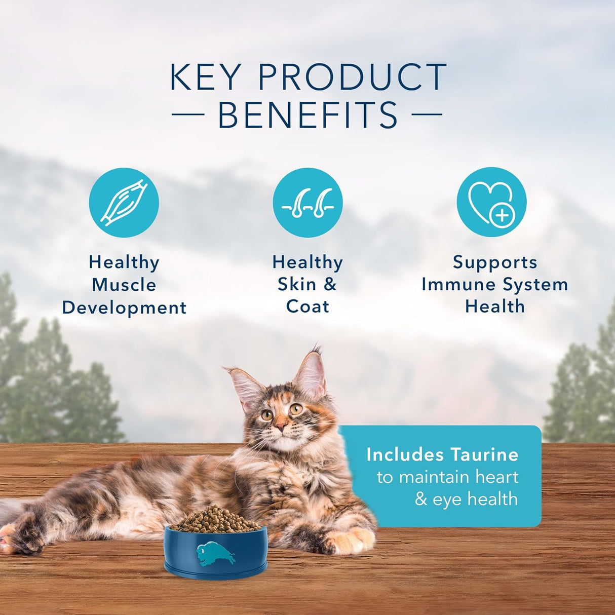 Blue Buffalo Wilderness - Alimento seco natural para gatos adultos, alto en proteínas, pollo, 9.5 libras