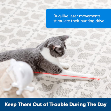 Juguete láser automático para gatos interactivo patrón láser
