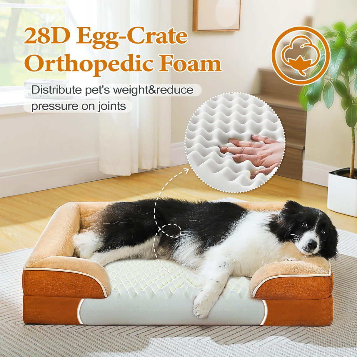 Cama ortopédica para perros PAWZ Road, memoria, impermeable, mediana