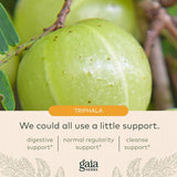 Suplemento Herbs Fruta Triphala Apoya la salud digestiva