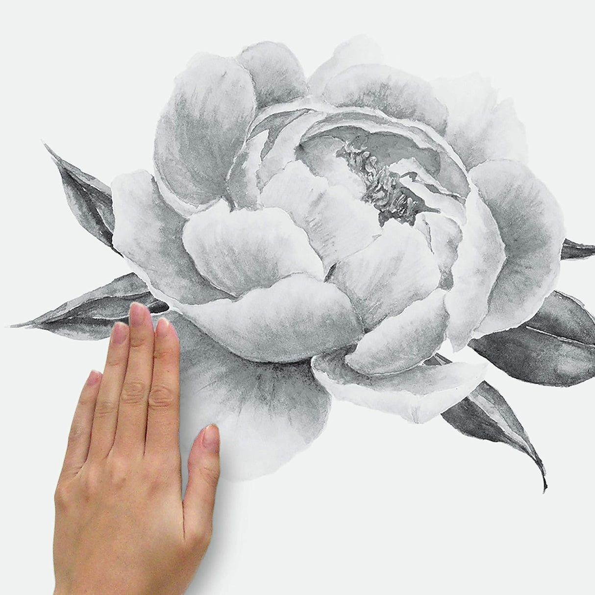 RoomMates RMK4413GM Black and White Peonies Giant Floral Peel and Stick Wall Decals