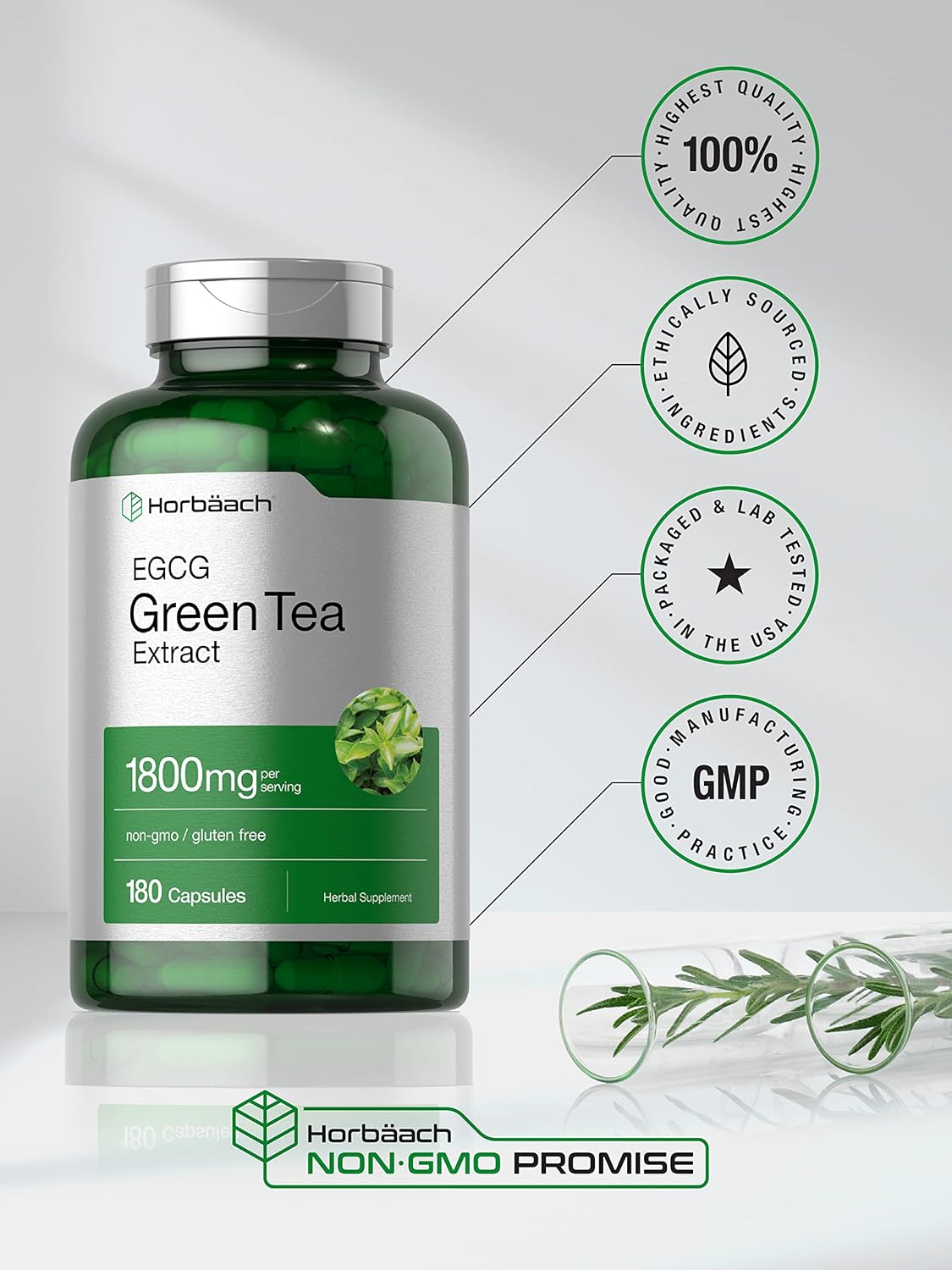 Suplemento Pastillas de extracto de té verde 180 cápsulas