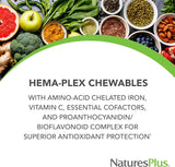 NaturesPlus Hema-Plex Iron - 60 masticables de bayas mixtas - 85 mg de hierro elemental - Salud total de la sangre - con vitamina C y bioflavonoides - Vegano, sin gluten - 20 porciones