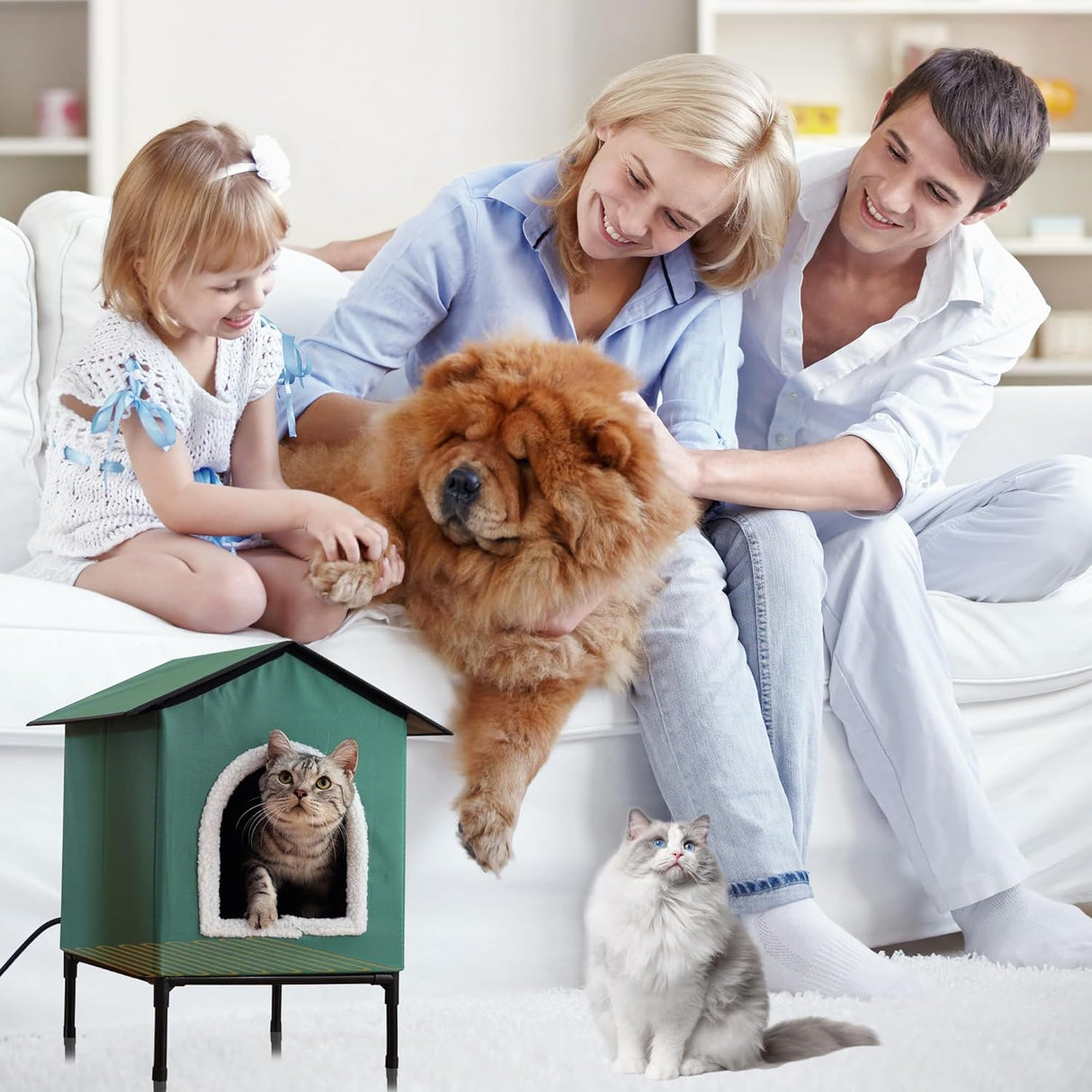 Casa Calentada para Gatos, Elevada e Aislada, Modelo Medio