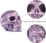 Calavera de Cristal Esqueleto de Lepidolita para Decoración