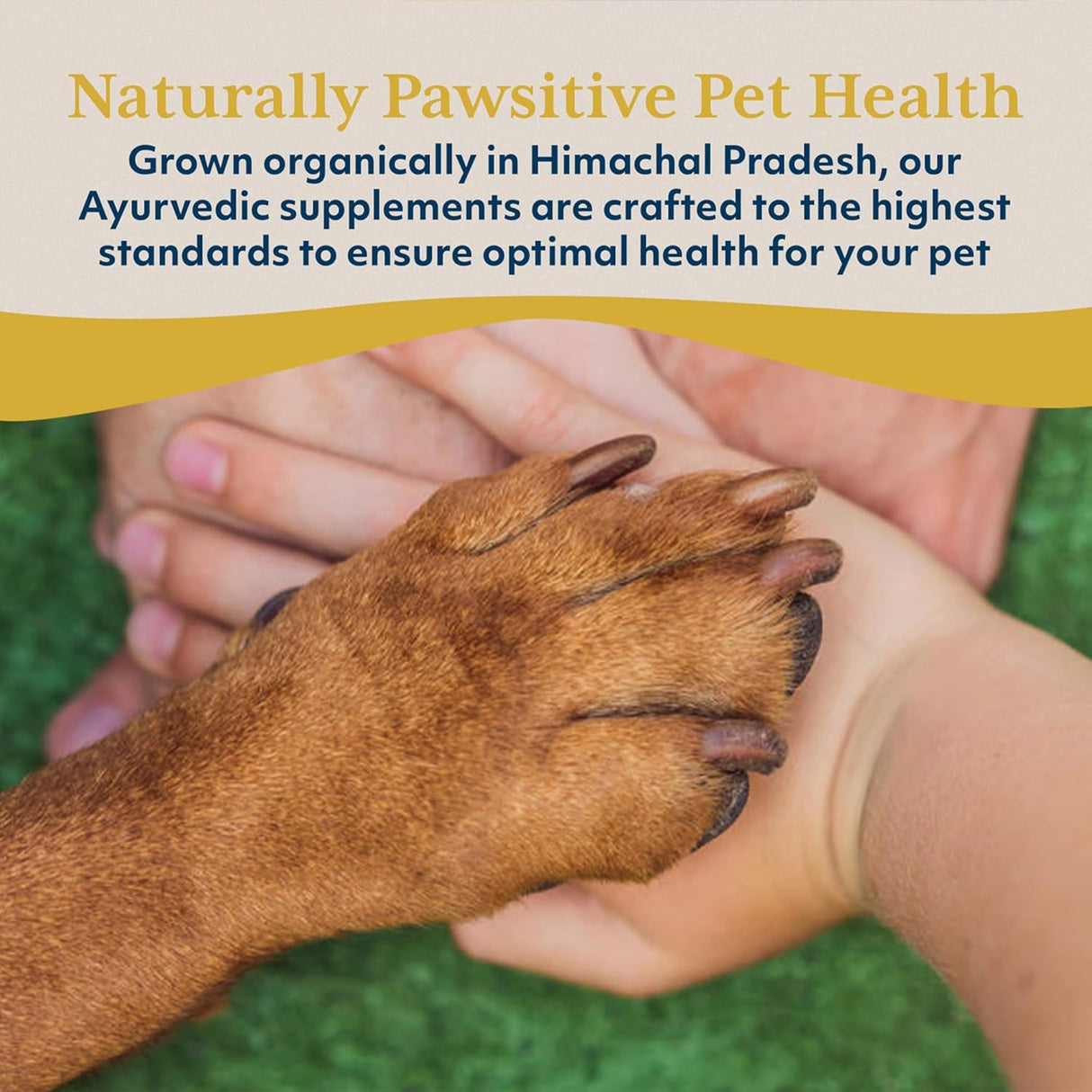 Ayush Pet Chews Calmantes Ayurvédicos para Mascotas 30 Unidades
