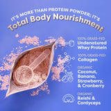 Batido de Proteína FlavCity, Suero 100% Grass-Fed, 25g Proteína