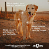 Vitaminas Suplemento probiótico para perros