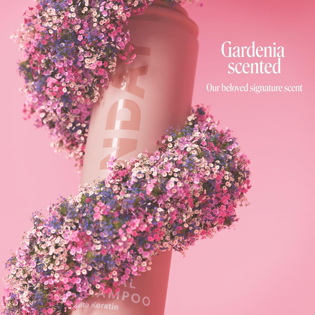 Champú seco: refresca absorbe aceite y nutre con queratina