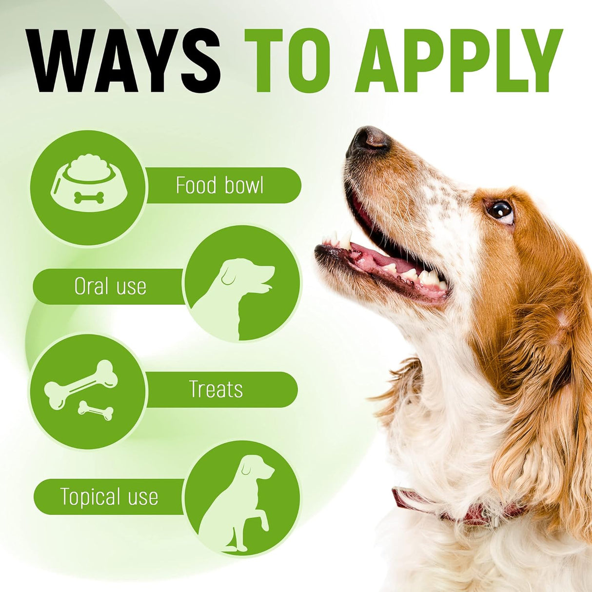 Vitaminas Probiótico para perros con enzimas