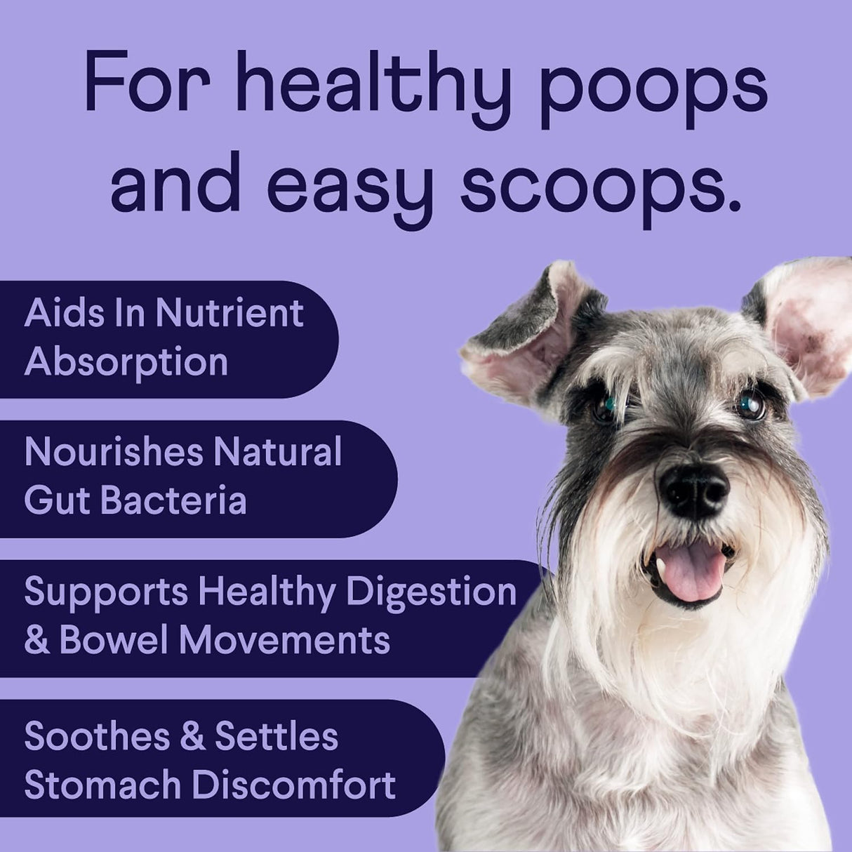 Vitaminas Probióticos para perros