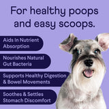 Vitaminas Probióticos para perros