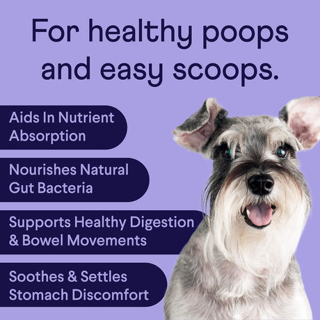 Vitaminas Probióticos para perros
