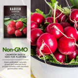 Semillas de Rábano Champion - Survival Garden Seeds - No-GMO