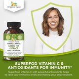 Suplemento de Té Verde Moringa y Matcha con ECGC y Cúrcuma