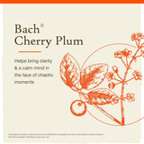 Bach  Remedio floral original  Gotero 20460 1
