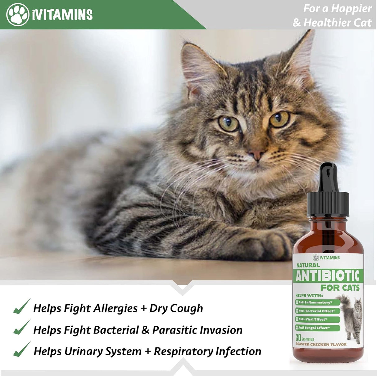 Suplementos para gatos, Antibióticos para gatos