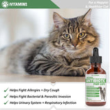 Suplementos para gatos, Antibióticos para gatos